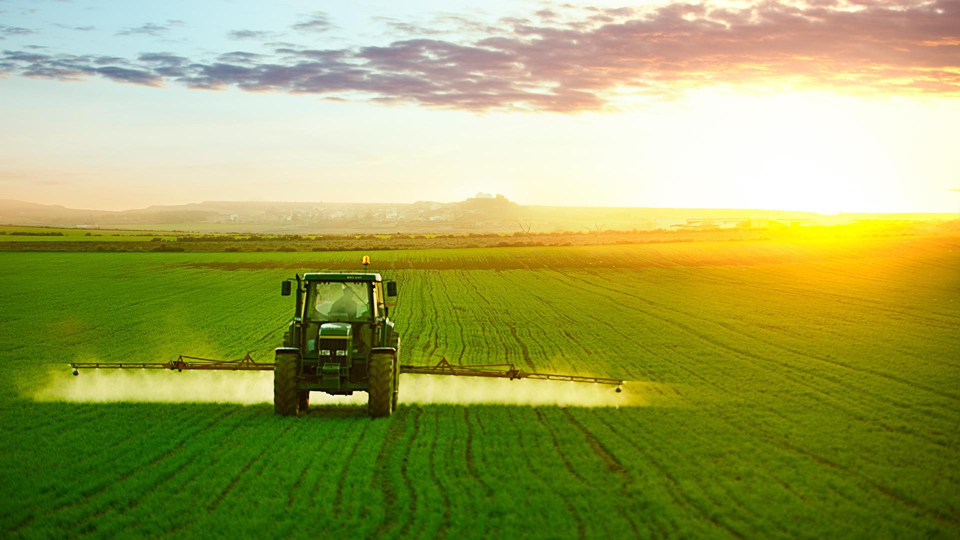 Поддержка аграрного сектора: правительство выделяет дополнительно 1 млрд рублей на лизинг сельхозтехники